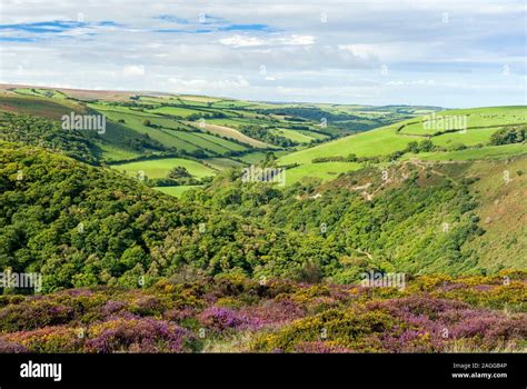  Lorna Doone  : Une saga familiale passionnante à travers la beauté sauvage de l'Exmoor !